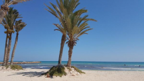 ltifi villas aghir